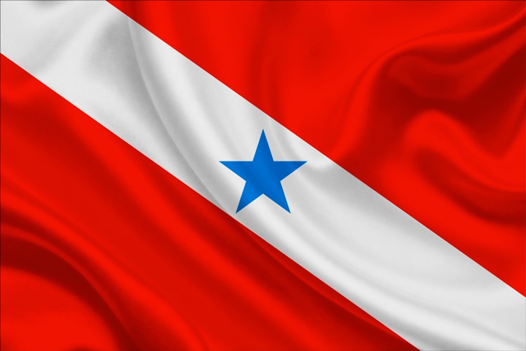 Bandeira do Pará